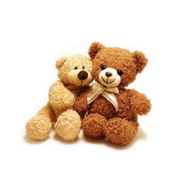 bears-send-gifts-to-vietnam-180321
