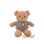 melody-teddy-bears-send-to-gifts-to-vietnam-180321