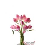 Lotus Flowers vase- vietnam-030421